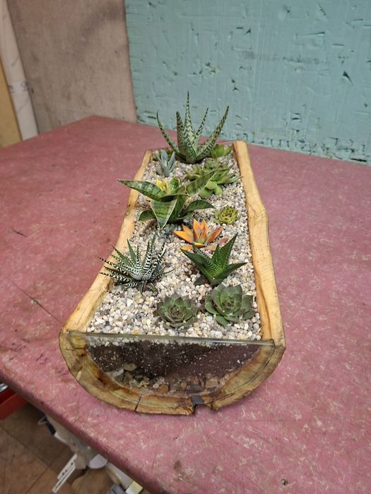 Мини градинка за вашият дом и офис.