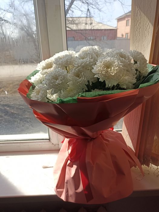 12мын саудасымен