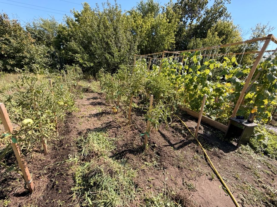 Продам  дачу 17 общество