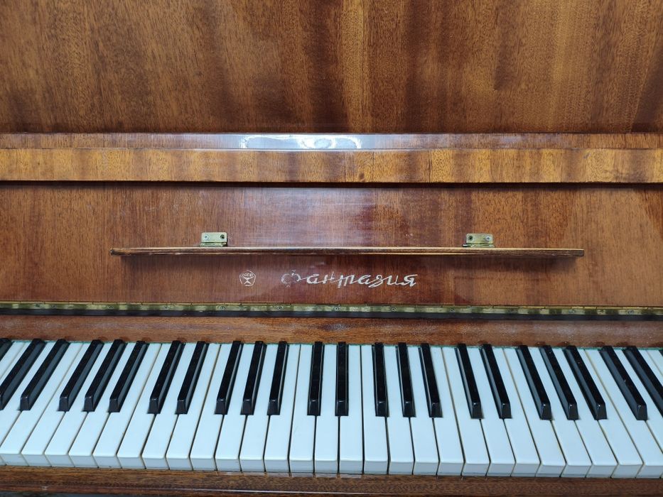 Отдам бесплатно !