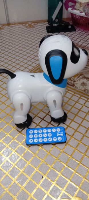 Собака на пульту управления