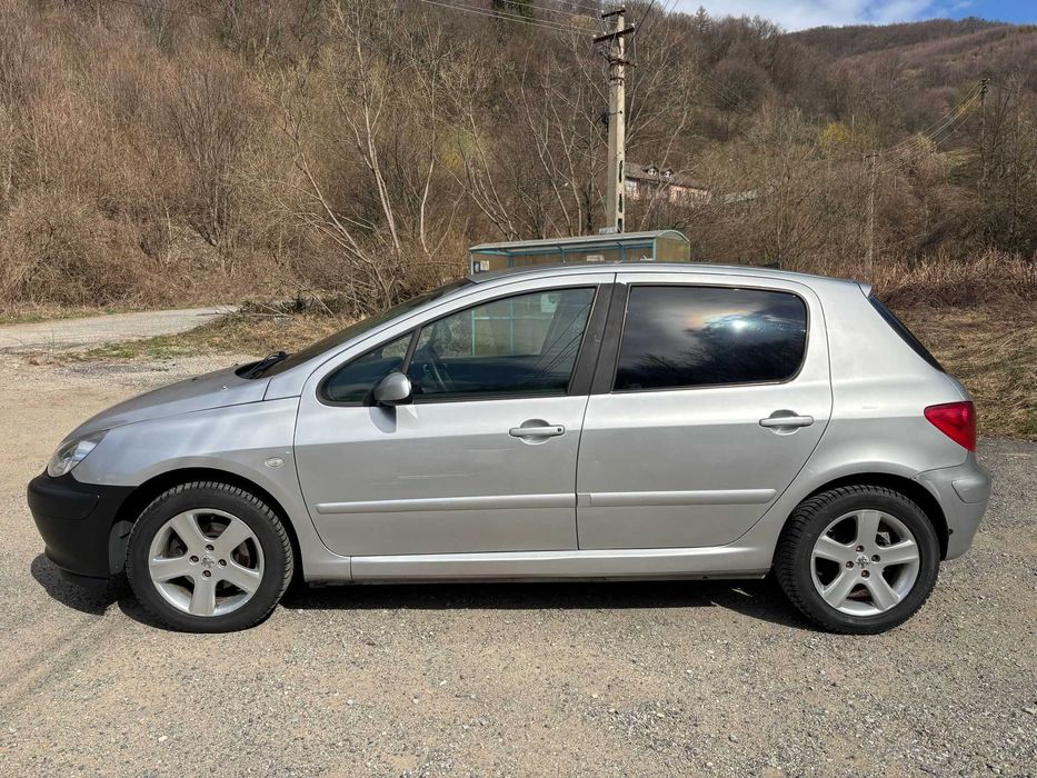 Peugeot 307 1.6 Benzina