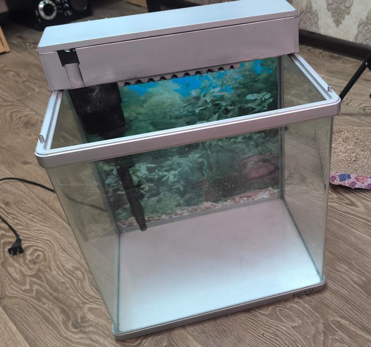 Продам аквариум с фильтром