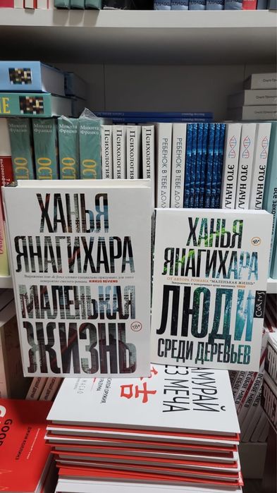 Маленькая жизнь.