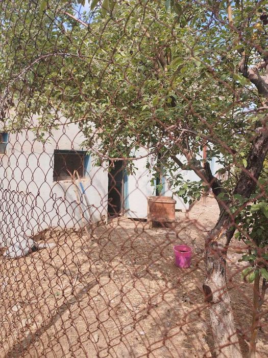 Продаю дачу,два участка по 6 соток,дом хоз постройки,плодовые деревья.