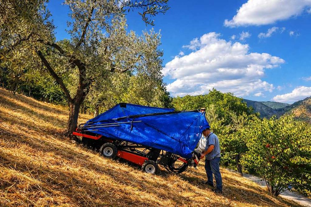 Utilaj autopropulsat 4x4 cu umbrelă colectoare recoltat alune nuci migdale