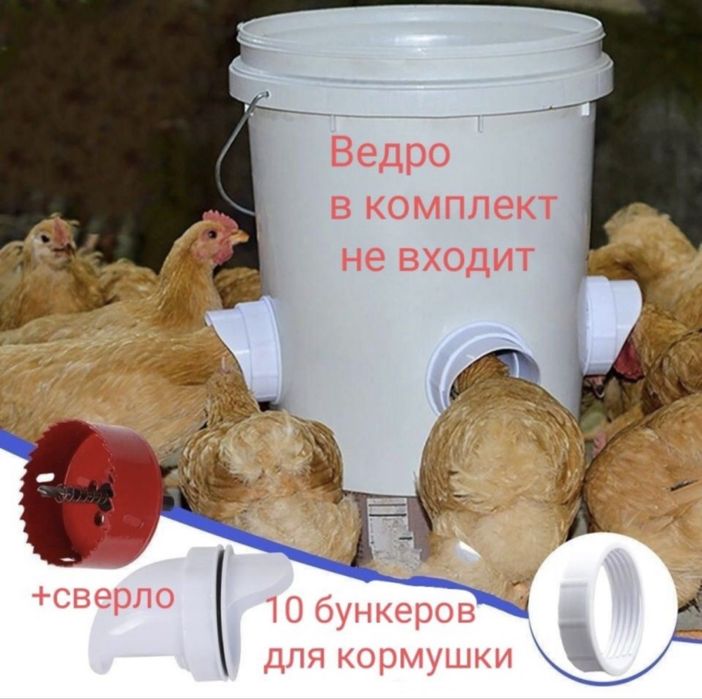 Кормушка и поилка для кур