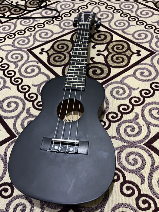 Укулеле комплектованный