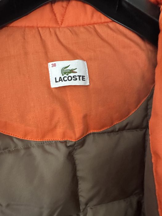 Massimo Dutti  Mustang Lacoste