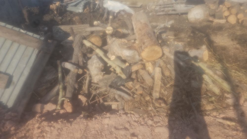 Дрова брёвна бесплатно сомавывоз