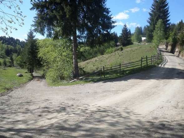 Vand 2500 mp teren intravilan + casuta de munte racordata la EON