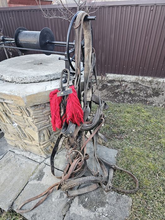 Ham , căpăstru si hățuri