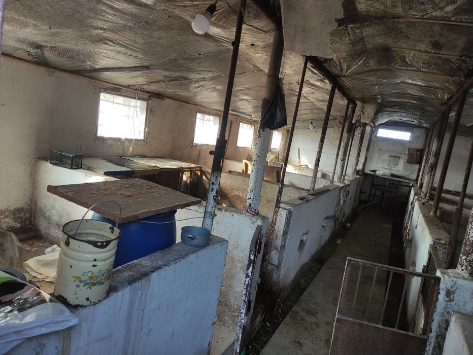 biznesi uchun tayyor joy