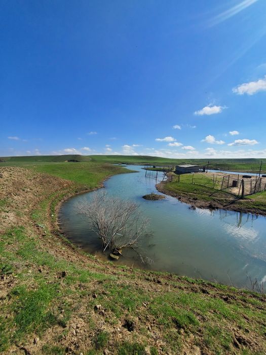 Ищу инвестора партнера