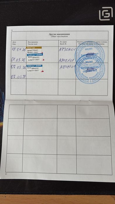 Зеркало для впнной комнаты