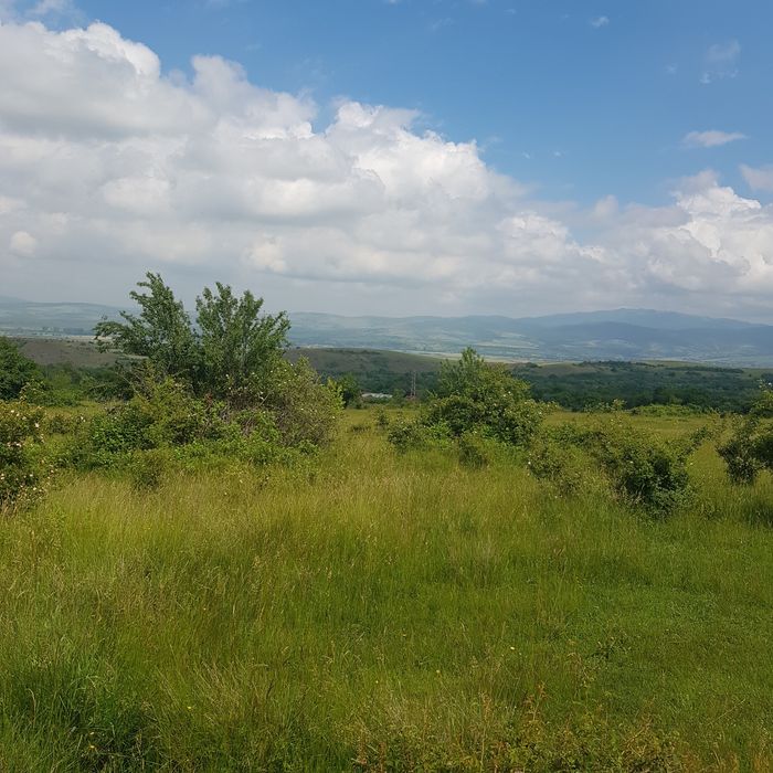 Продава се Парцел в Сапарева баня - 2500 кв.м за 6 €/кв.м - Снимка #2