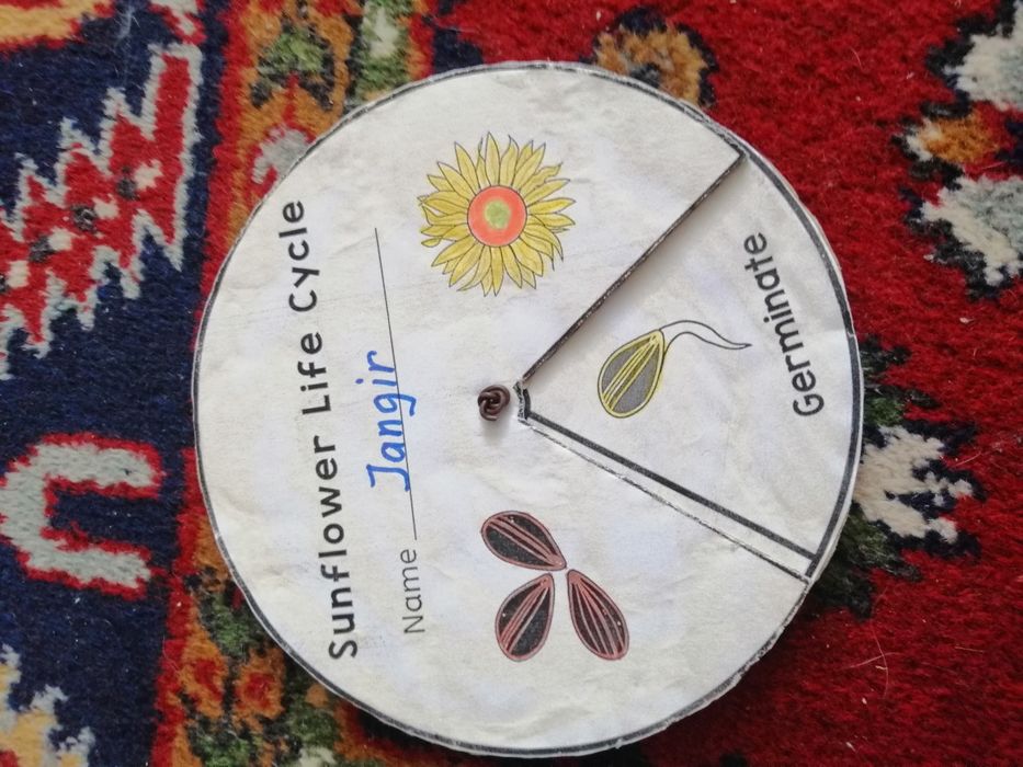 Развивающие материалы