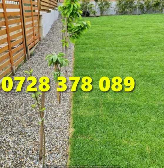 Gazon / Insamantare / Rulouri de Gazon