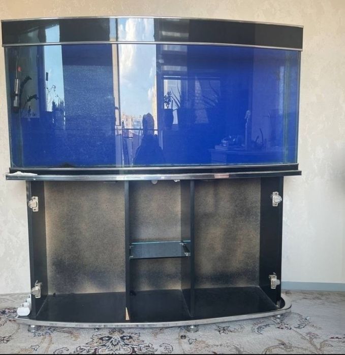 Akvarium 250litr yaxshi narxda kelishamiz