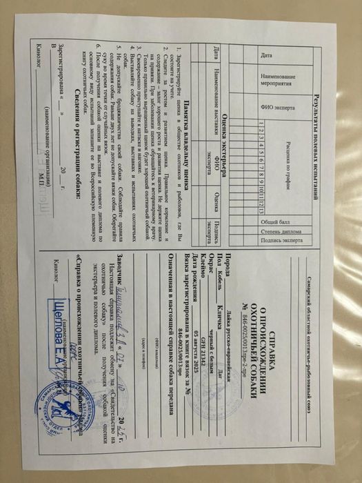 Продается РЕЛ кабель молодой