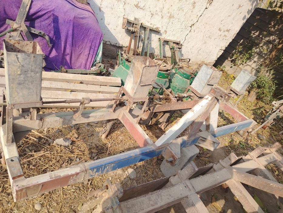 Kultuvatsa sus sotiladi selka