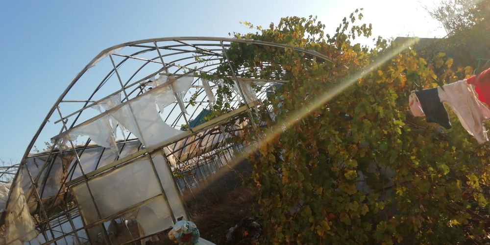 Теплица,   парник