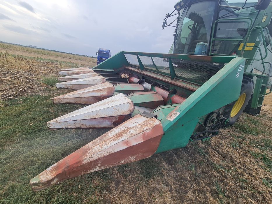 Rips Floarea Soarelui