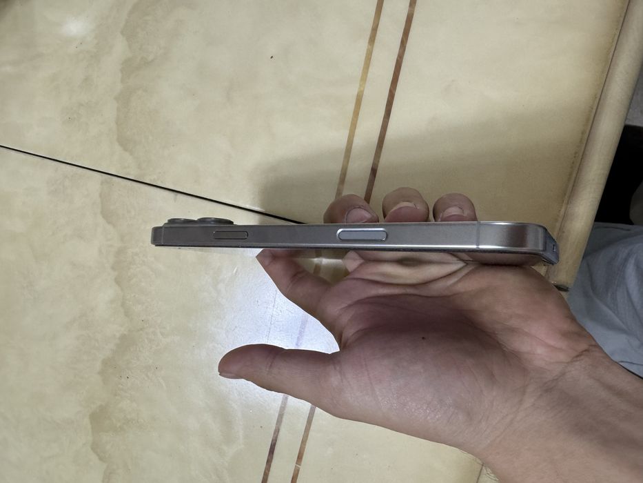 16 про мах 256гб