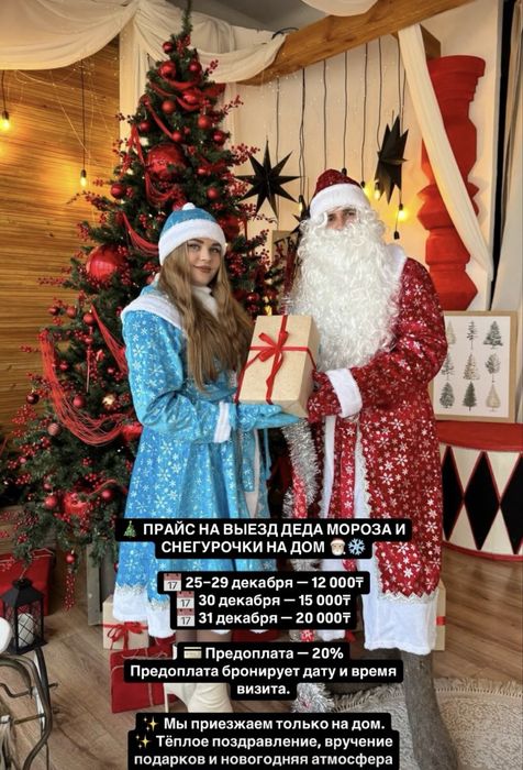 Дед Мороз и Снегурочка на дом