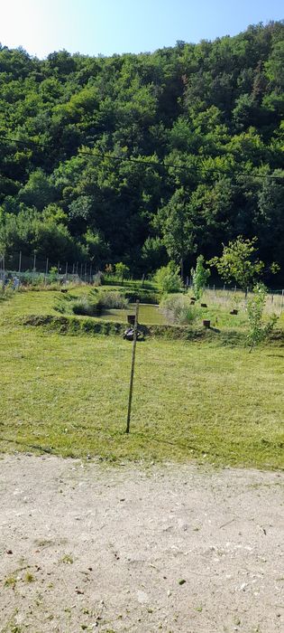 De vânzare balta de pescuit