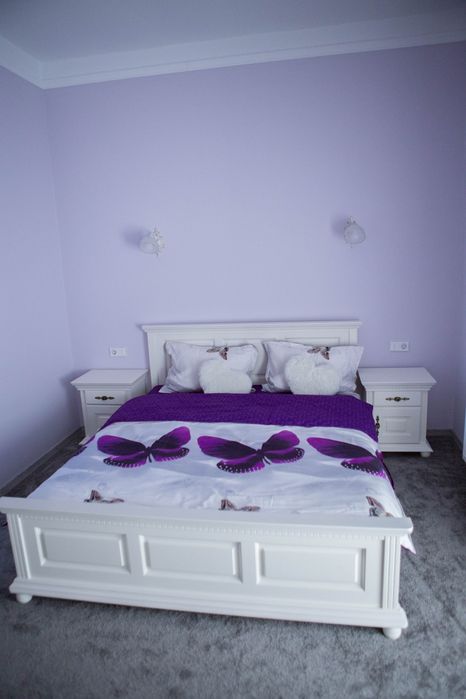 Pensiuni cazare, cabane,piscină si jacuzzi (Pensiunea Adanis Confort]