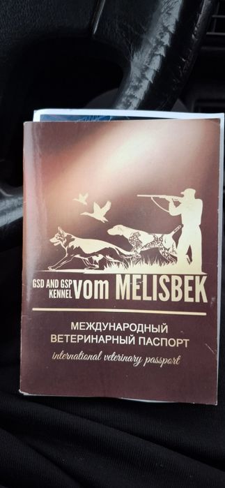 Продам Дратхаар кобеля