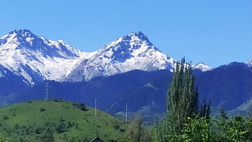 Продаем дом