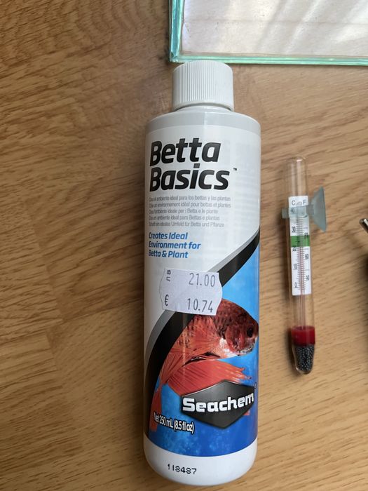 Малък аквариум за рибки