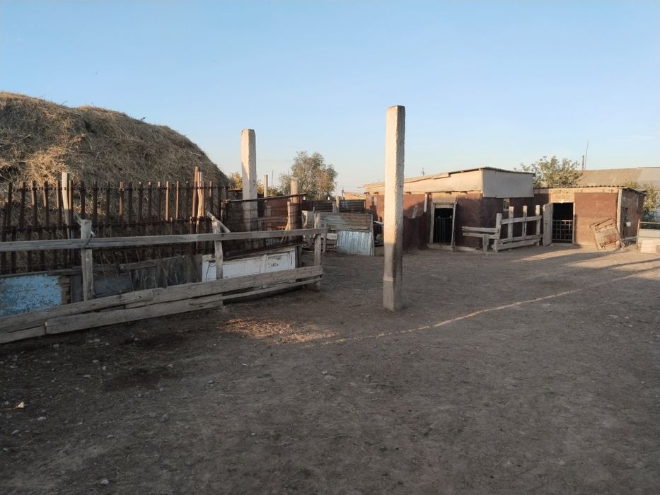 Продается дом в поселке