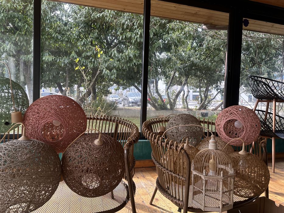 Полилеи различни видове