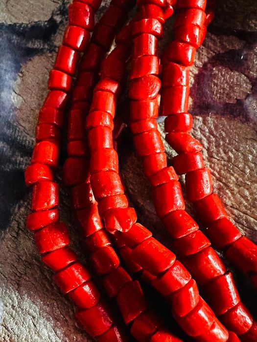 Coral natural impunător