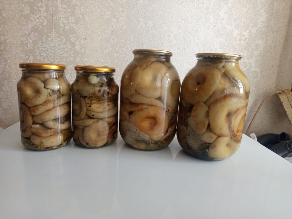 Продам соленые грибы