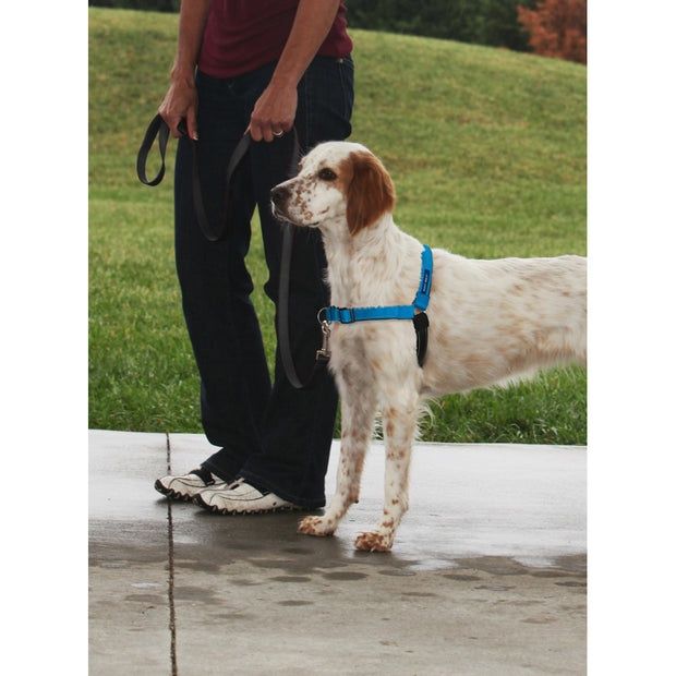 Ham pentru câini PetSafe Easy Walk, marimea L