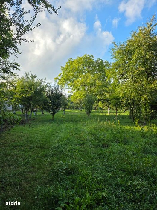 Teren 2500 Mp – Potențial Business / Dezvoltare – Breaza