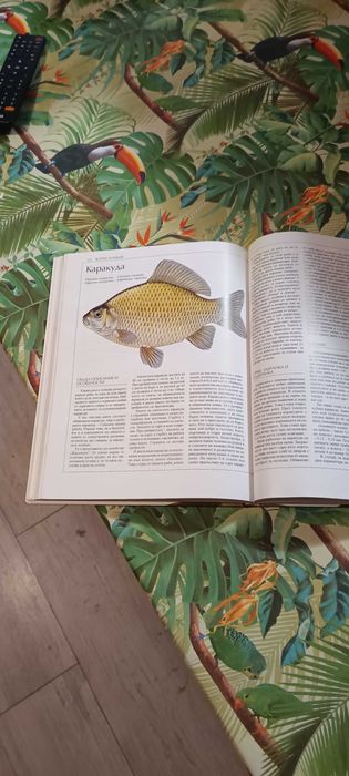 Българска риболовна енциклопедия