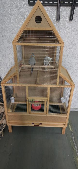 Два попугая корелла