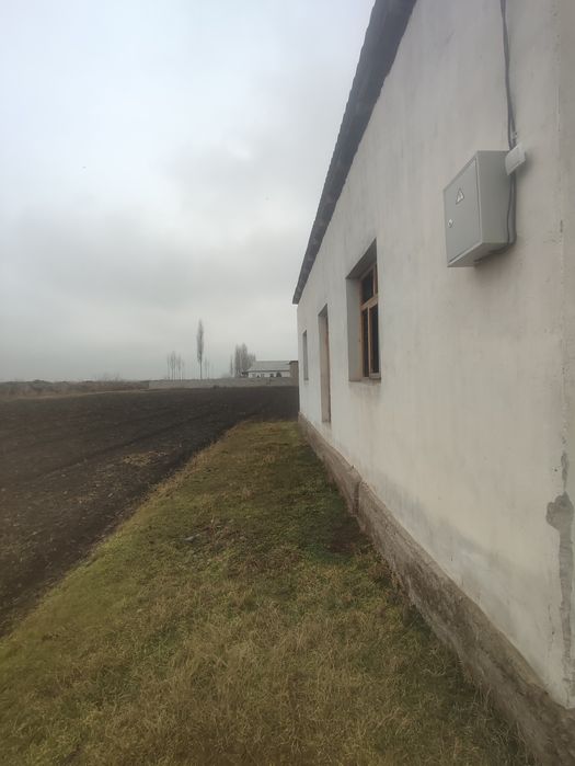 20 sotix 1 sotixgi 4 mingdan  2 xona uyi bor