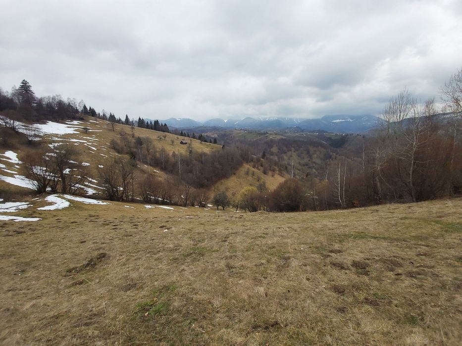 Teren de vânzare