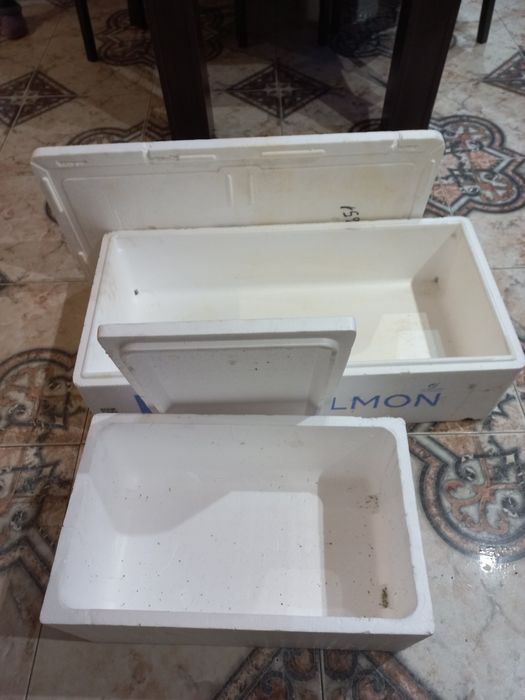 Cutii termice de polistiren