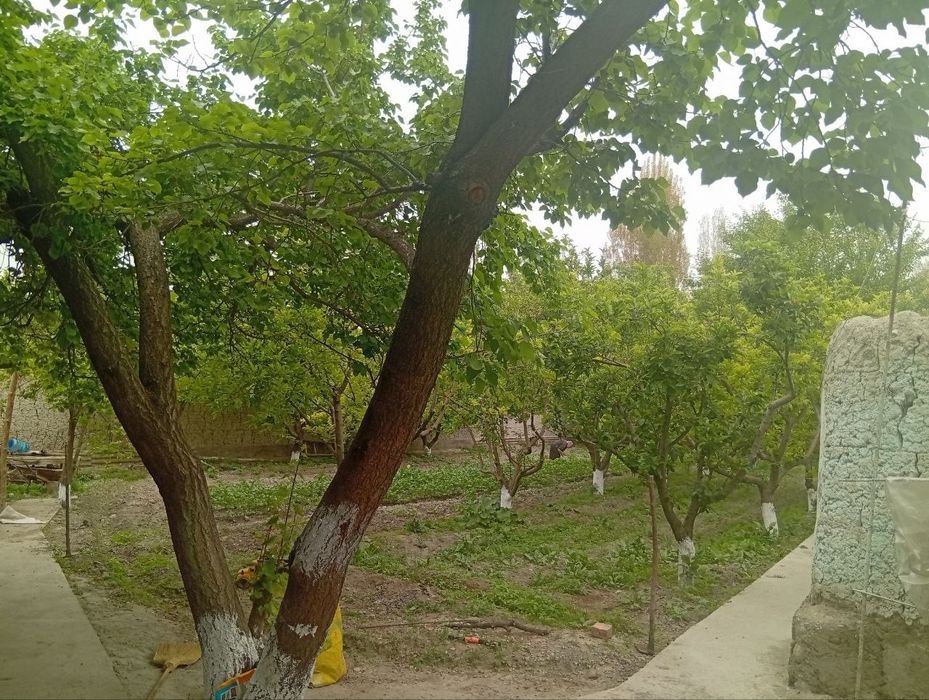 Hovli uy sotiladi