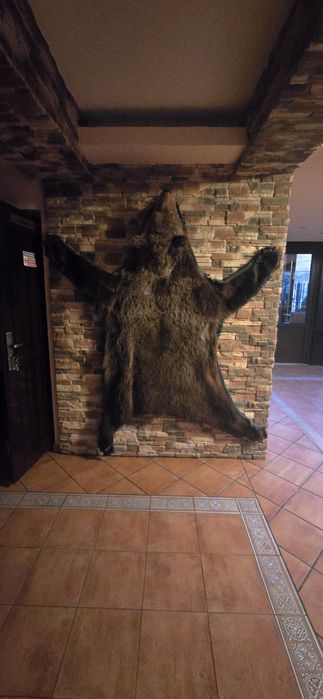 Vand Trofeu Urs brun