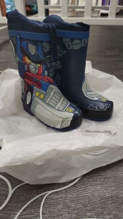 Сапоги на мальчика