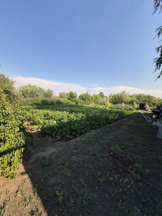 Дача плодородная