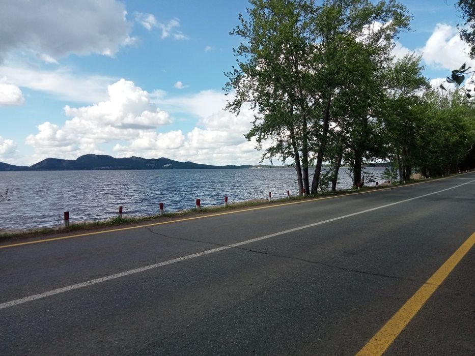 Сдам Сруб в лесу.